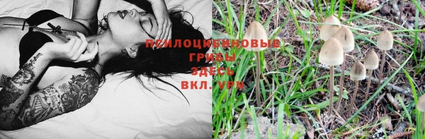 соль ск Киренск