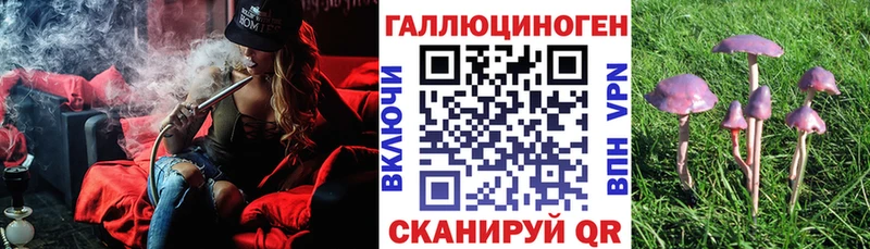 Галлюциногенные грибы мухоморы  Купить где  Белогорск 